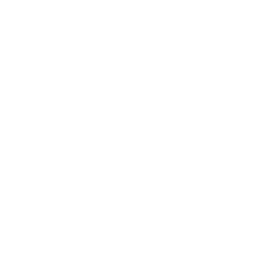 Vice Club Rentals